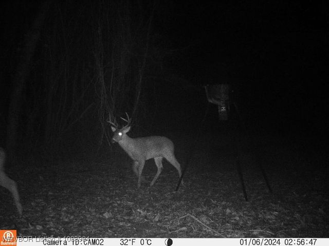 8979 Grand Prairie Road, Charleston, AR 72933