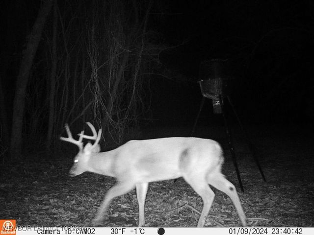 8979 Grand Prairie Road, Charleston, AR 72933