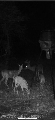 8979 Grand Prairie Road, Charleston, AR 72933