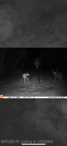 8979 Grand Prairie Road, Charleston, AR 72933