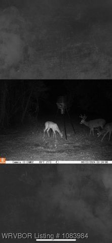 8979 Grand Prairie Road, Charleston, AR 72933