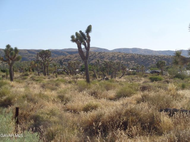 106th Cor Fort Tejon Rd Pav 1, Pearblossom, CA 93553