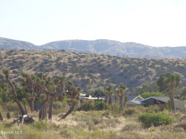 106th Cor Fort Tejon Rd Pav 1, Pearblossom, CA 93553