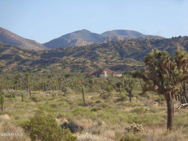 106th Cor Fort Tejon Rd Pav 1, Pearblossom, CA 93553