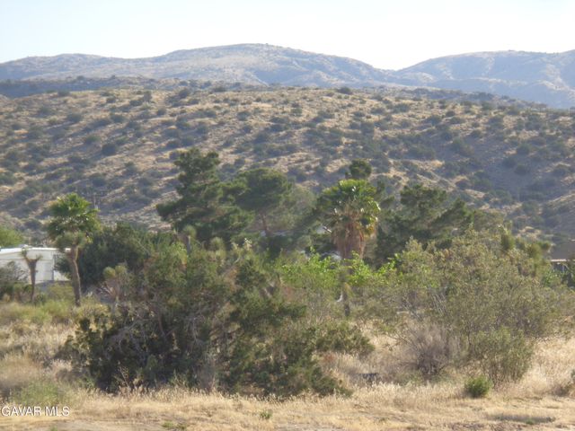106th Cor Fort Tejon Rd Pav 1, Pearblossom, CA 93553