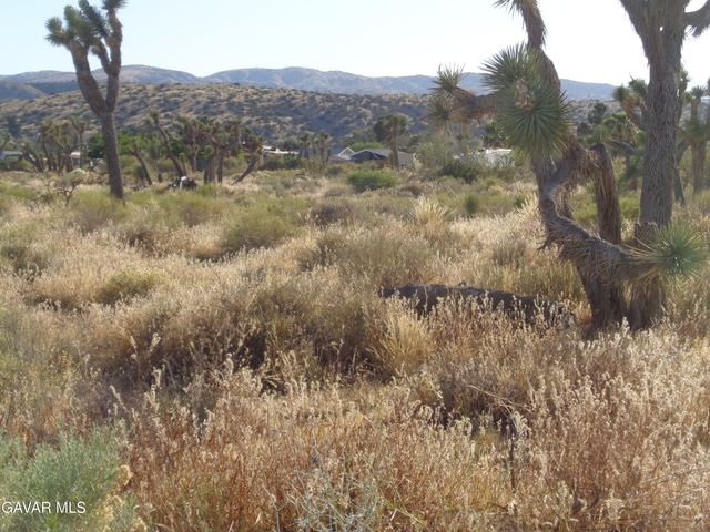 106th Cor Fort Tejon Rd Pav 1, Pearblossom, CA 93553