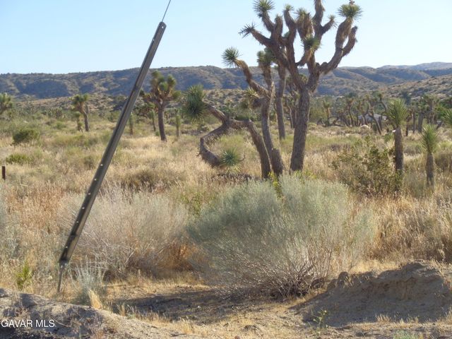 106th Cor Fort Tejon Rd Pav 1, Pearblossom, CA 93553