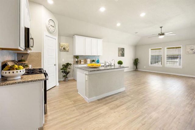 723 Larkspur Shadow Drive, Magnolia, TX 77354