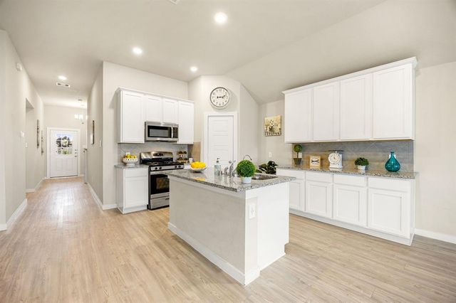 723 Larkspur Shadow Drive, Magnolia, TX 77354