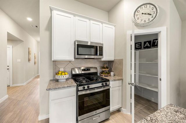 723 Larkspur Shadow Drive, Magnolia, TX 77354