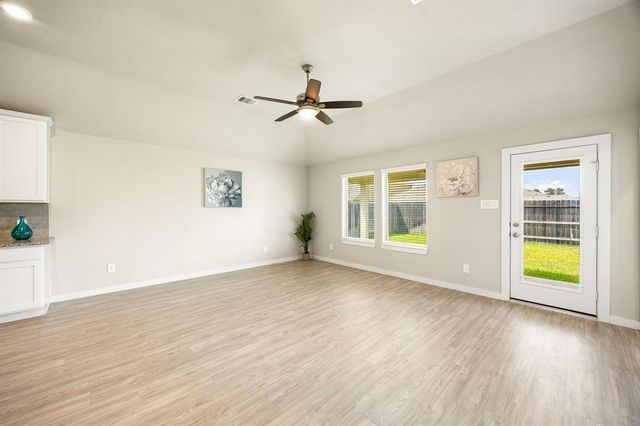 723 Larkspur Shadow Drive, Magnolia, TX 77354