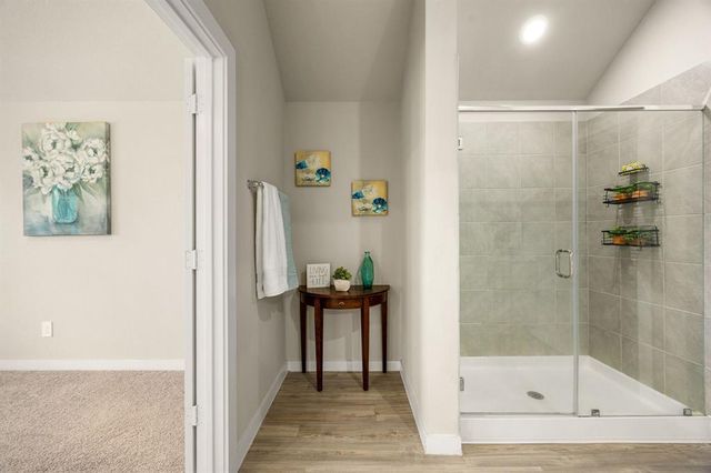 723 Larkspur Shadow Drive, Magnolia, TX 77354