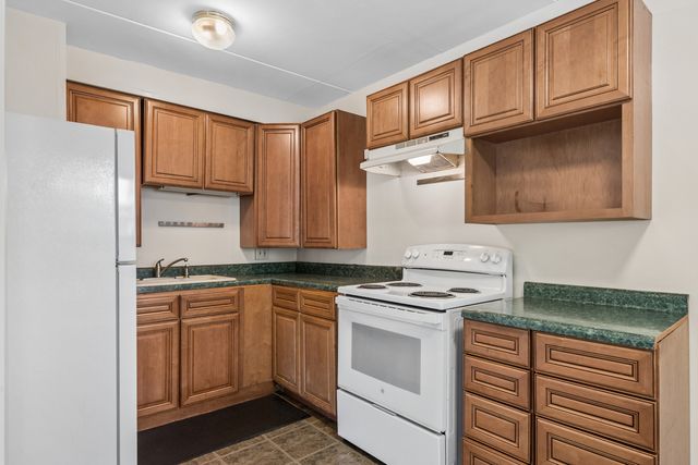 7432 Washington Street 202, Forest Park, IL 60130