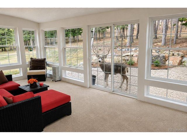 4854 Cheyenne Dr, Larkspur, CO 80118
