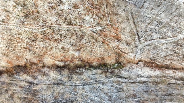 470 Little Bull Creek Road, Woollum, KY 40906