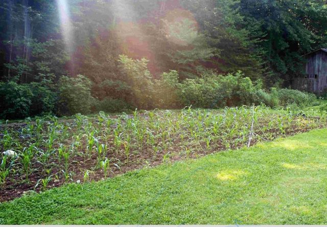 470 Little Bull Creek Road, Woollum, KY 40906