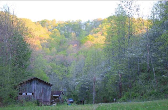 470 Little Bull Creek Road, Woollum, KY 40906