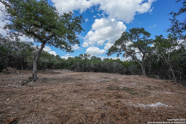 330 rayner ranch, Spring Branch, TX 78070