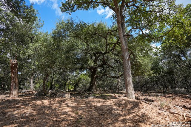 330 rayner ranch, Spring Branch, TX 78070