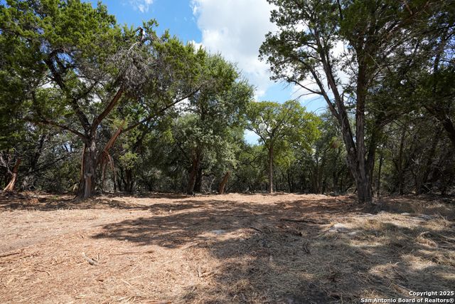 330 rayner ranch, Spring Branch, TX 78070