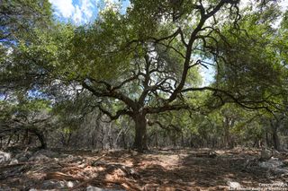 330 rayner ranch, Spring Branch, TX 78070