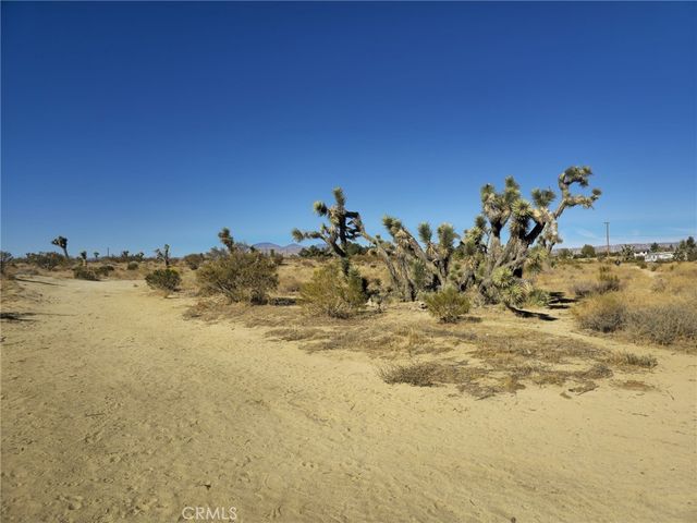 5 Mojave Tropical, Rosamond, CA 93560