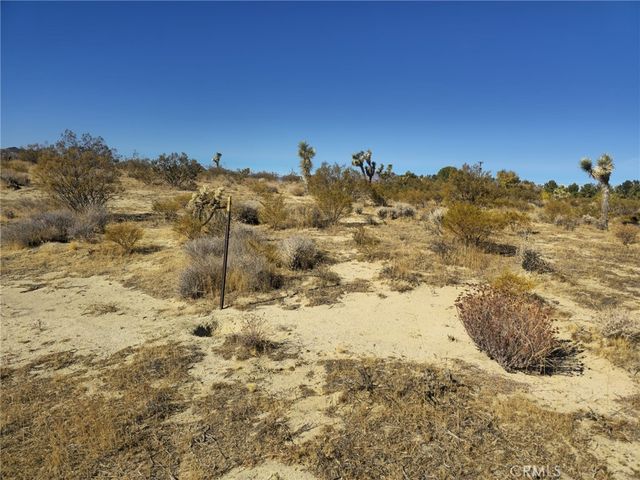 5 Mojave Tropical, Rosamond, CA 93560