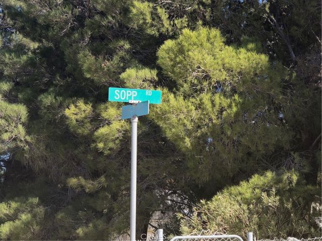 5 Mojave Tropical, Rosamond, CA 93560