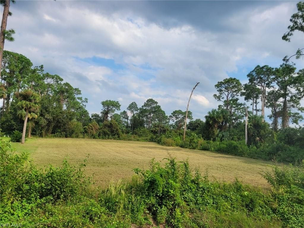 702 James AVE, LEHIGH ACRES, FL 33936 — photo 2