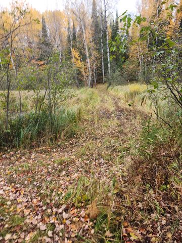 4126 Mattson Road, Hibbing, MN 55746