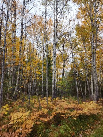 4126 Mattson Road, Hibbing, MN 55746