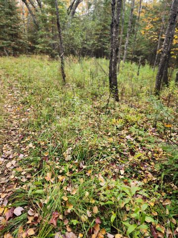 4126 Mattson Road, Hibbing, MN 55746