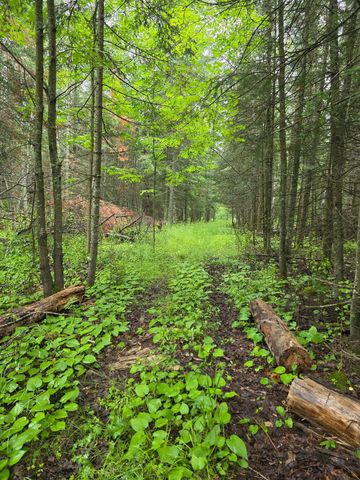 4126 Mattson Road, Hibbing, MN 55746