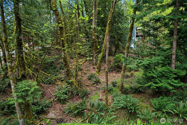 4 Indian Ridge Court, Bellingham, WA 98229