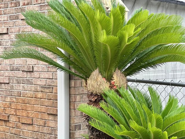 1137 Jeni Mae Court, Fort Walton Beach, FL 32547