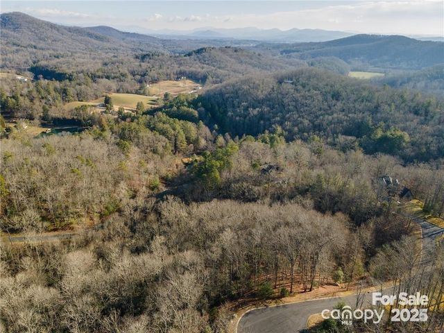 80 Buckhead Trail, Mills River, NC 28742