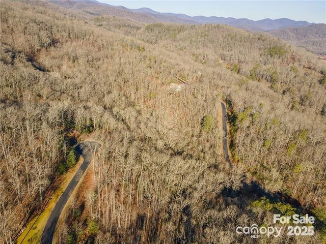 80 Buckhead Trail, Mills River, NC 28742