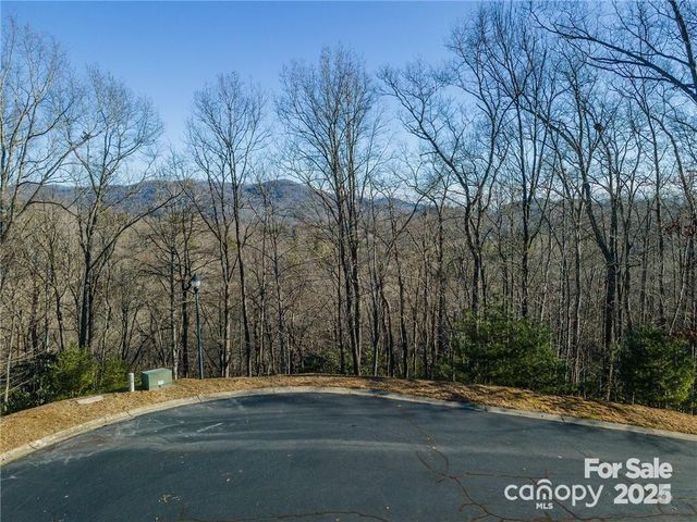 80 Buckhead Trail, Mills River, NC 28742