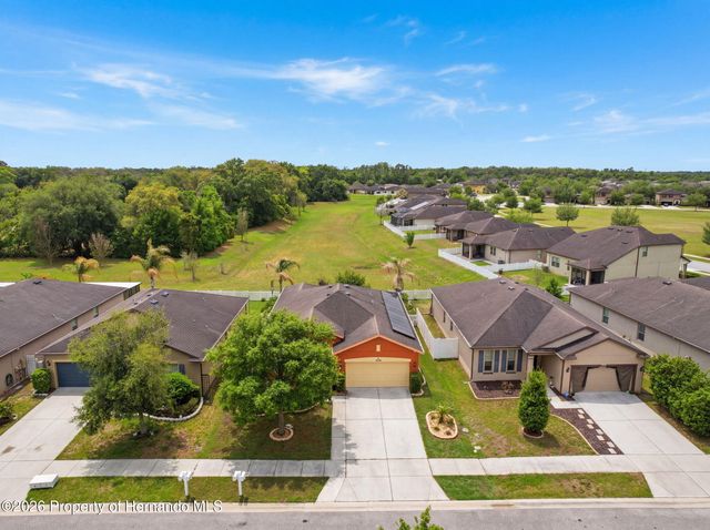 15723 Stone House Drive, Brooksville, FL 34604