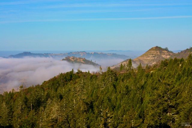 4405 Lake County Hwy, Calistoga, CA 94515