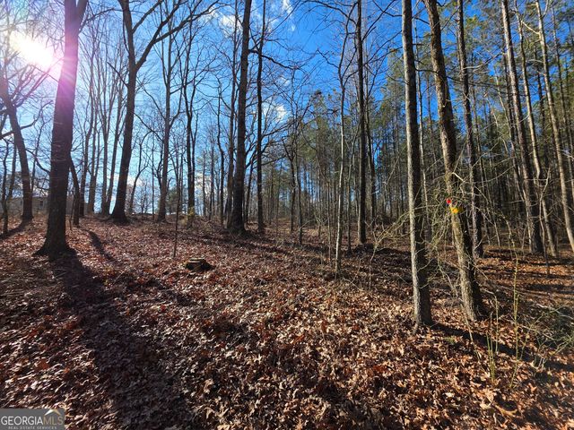 3879 Caney Head Road, Franklin, GA 30217