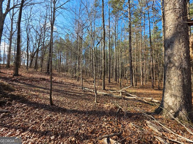 3879 Caney Head Road, Franklin, GA 30217