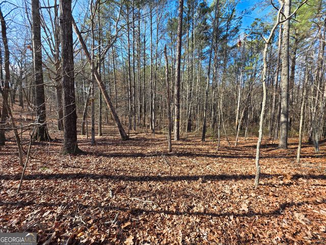 3879 Caney Head Road, Franklin, GA 30217