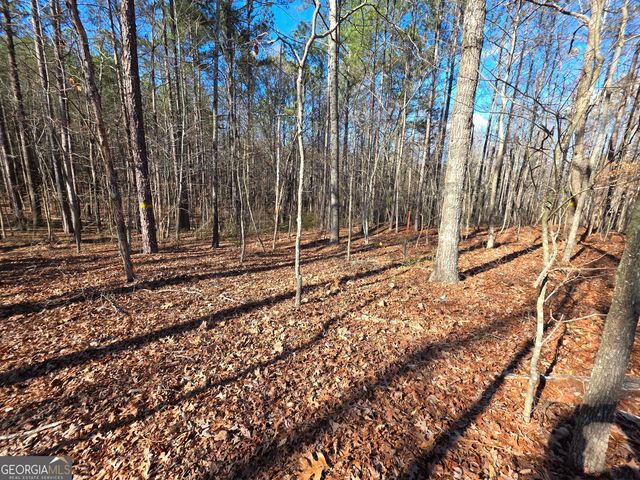 3879 Caney Head Road, Franklin, GA 30217