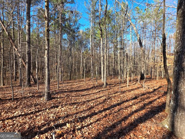 3879 Caney Head Road, Franklin, GA 30217