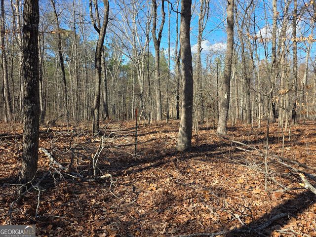 3879 Caney Head Road, Franklin, GA 30217