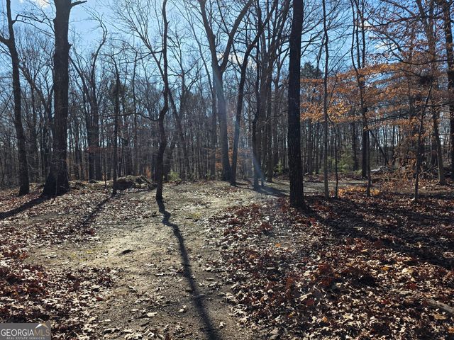 3879 Caney Head Road, Franklin, GA 30217