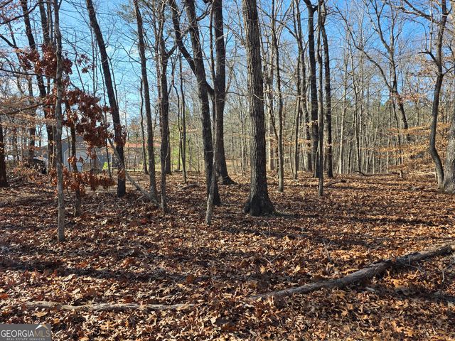 3879 Caney Head Road, Franklin, GA 30217