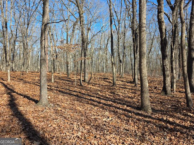 3879 Caney Head Road, Franklin, GA 30217