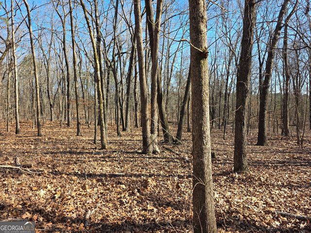 3879 Caney Head Road, Franklin, GA 30217